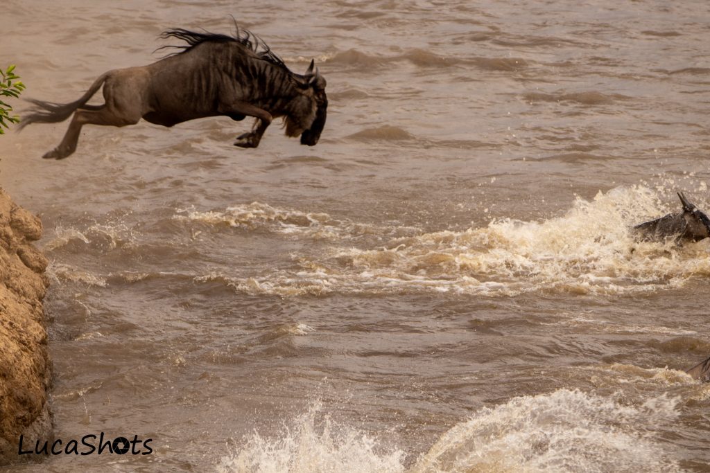 Welcome to Catapult Africa