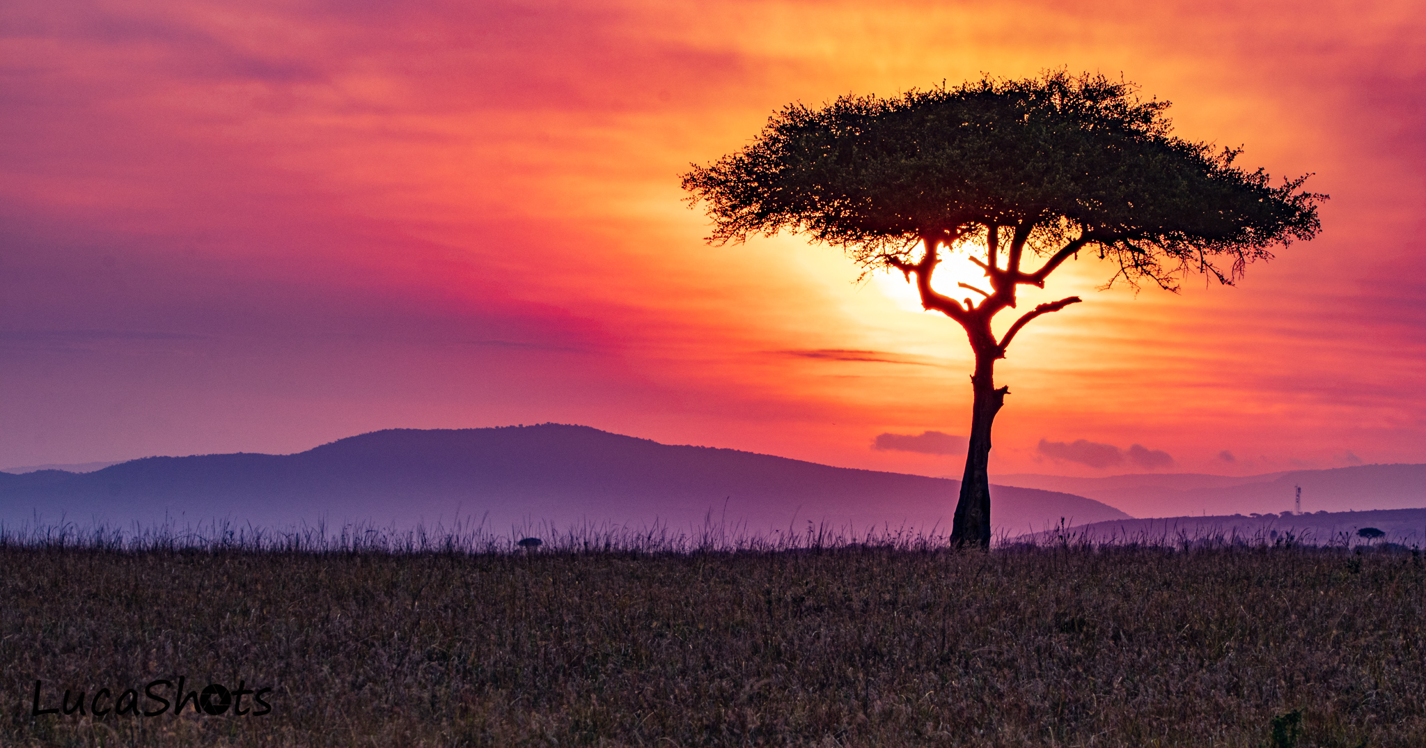 Africa Matters